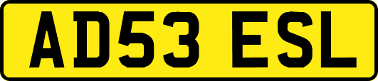AD53ESL