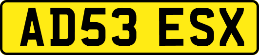 AD53ESX