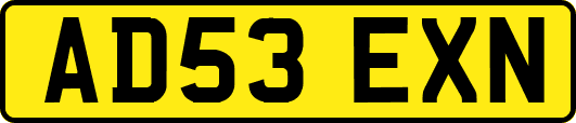 AD53EXN