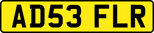 AD53FLR