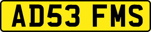 AD53FMS