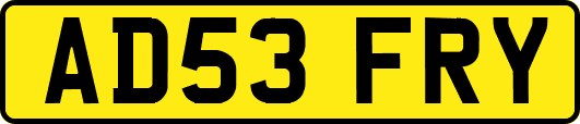 AD53FRY