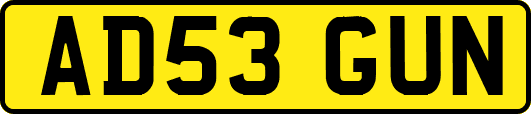 AD53GUN