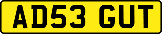 AD53GUT