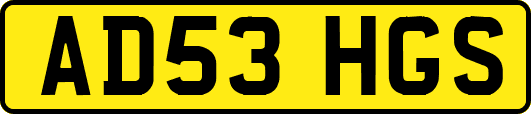 AD53HGS