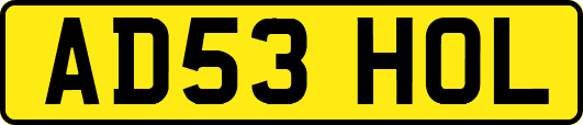 AD53HOL