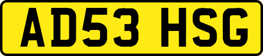 AD53HSG