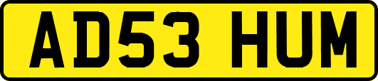 AD53HUM