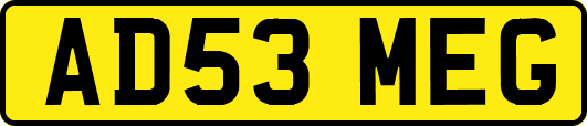 AD53MEG