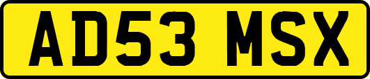AD53MSX