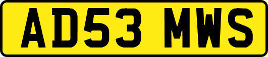 AD53MWS