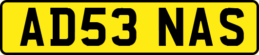 AD53NAS