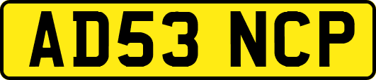 AD53NCP