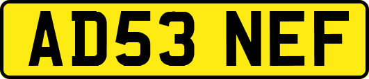 AD53NEF