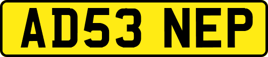 AD53NEP