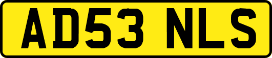 AD53NLS