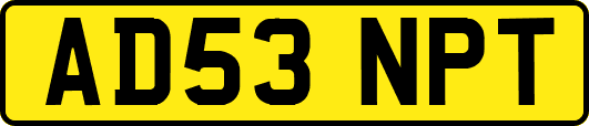 AD53NPT