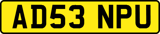 AD53NPU