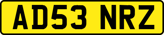 AD53NRZ