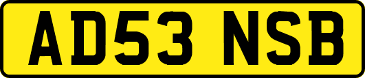 AD53NSB