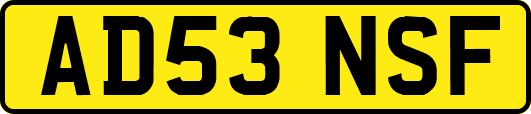 AD53NSF