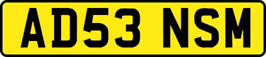 AD53NSM