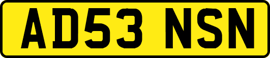 AD53NSN