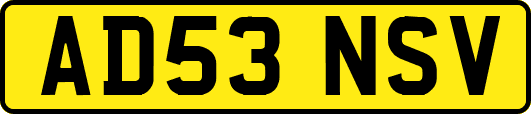 AD53NSV