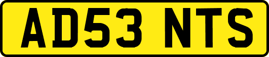 AD53NTS