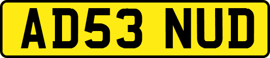 AD53NUD