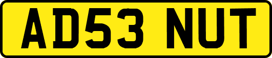AD53NUT