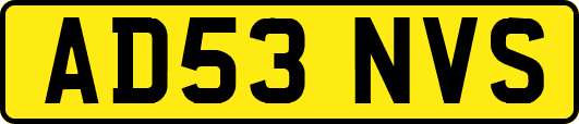 AD53NVS