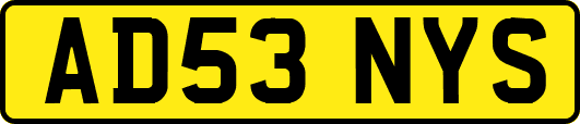 AD53NYS