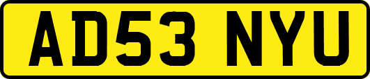 AD53NYU