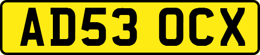 AD53OCX