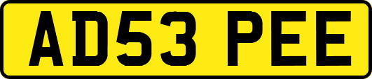 AD53PEE