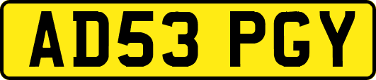 AD53PGY
