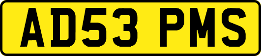 AD53PMS