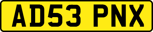 AD53PNX
