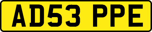 AD53PPE