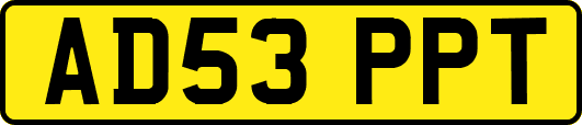 AD53PPT
