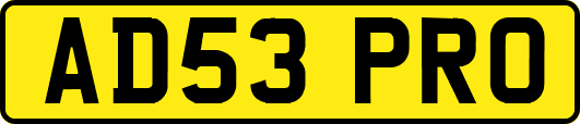 AD53PRO