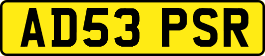 AD53PSR