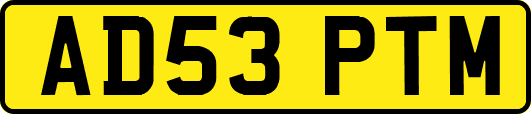 AD53PTM