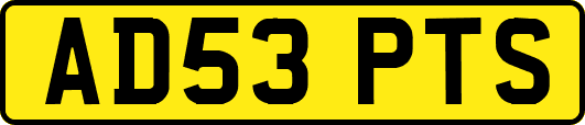 AD53PTS