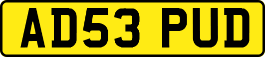 AD53PUD