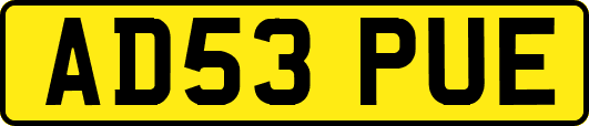 AD53PUE