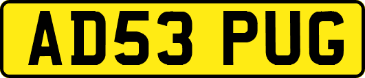 AD53PUG