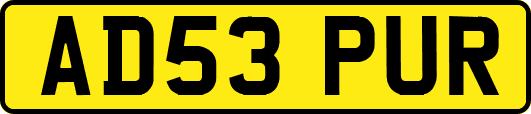AD53PUR