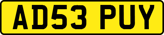 AD53PUY